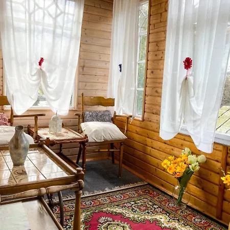 Homestay Halicz